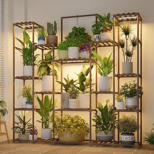 Plant stand with - with, grow