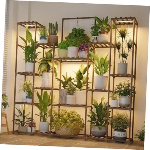 Plant stand with grow - plant,